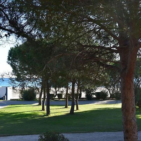 Le Byblos 9 - Vue Mer - Climatisation Plage d'Argeles Exterior photo